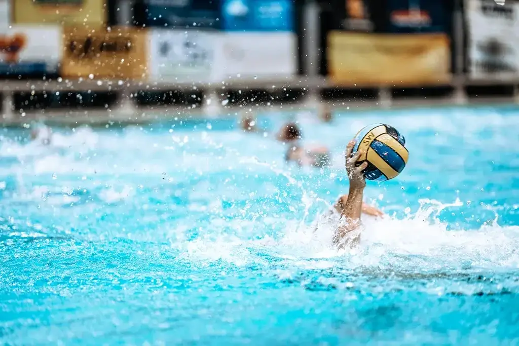 Freundeskreis Wasserball des SVV Plauen