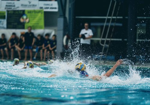 20230304 SVV Plauen Wasserball 06-09388