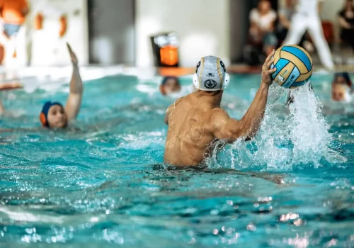 2e8c1f0f-abe7-4fb6-953c-4eecf0ff7607