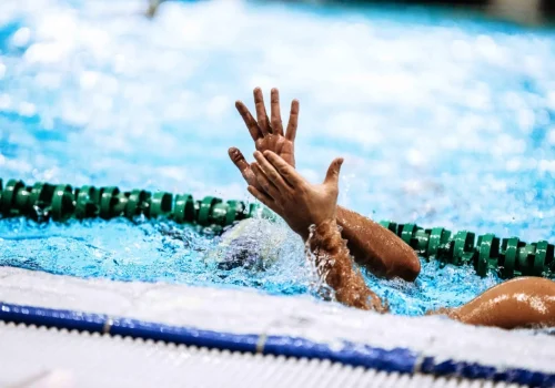 7bd04f51-4366-4bce-a95c-7d3b422dcd05