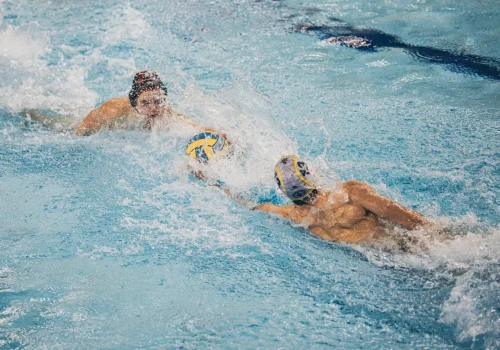 ec5cb120-154a-41d5-9792-8695c6a59b0e